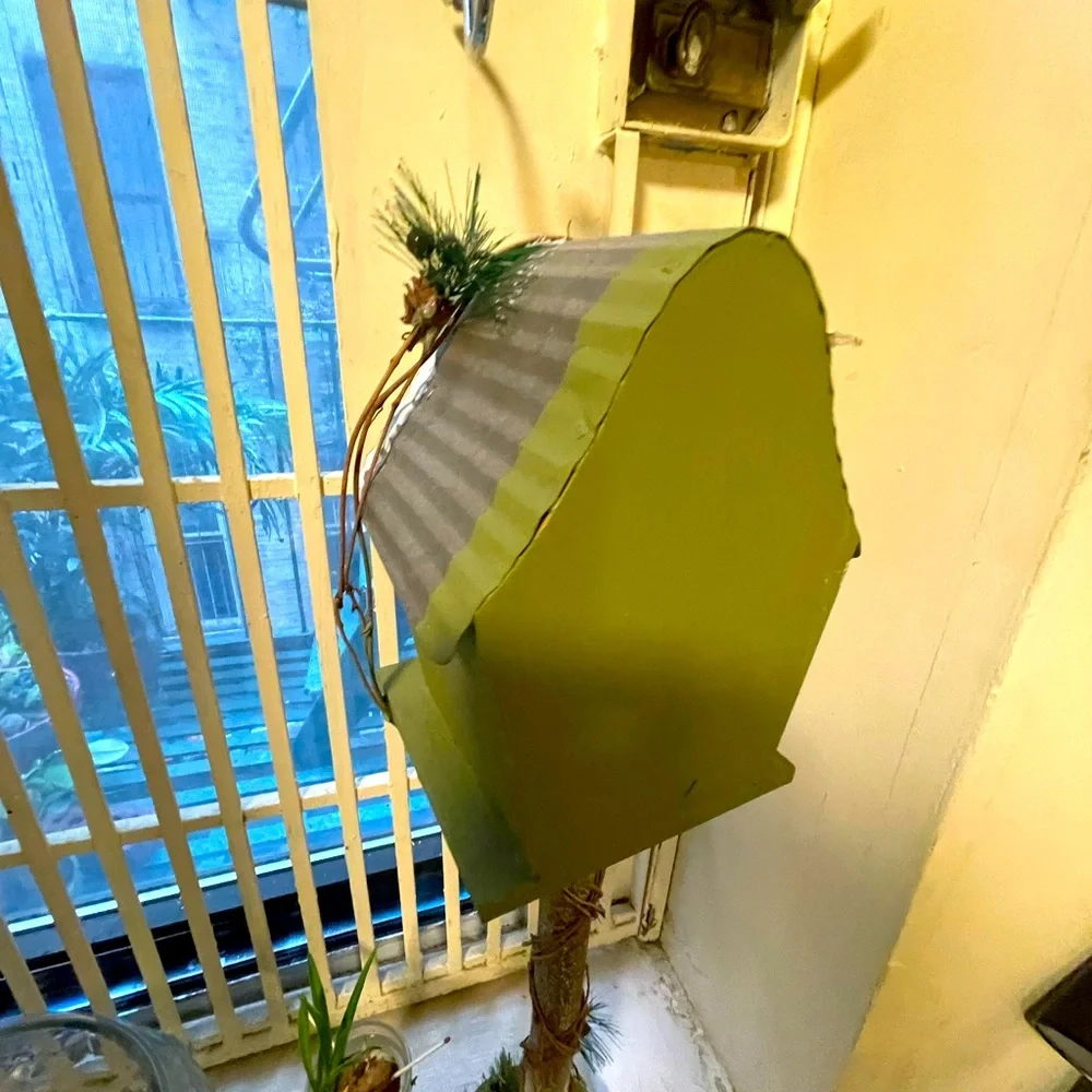 Birds feeder perfect for the spring, beautiful bird, going to come by